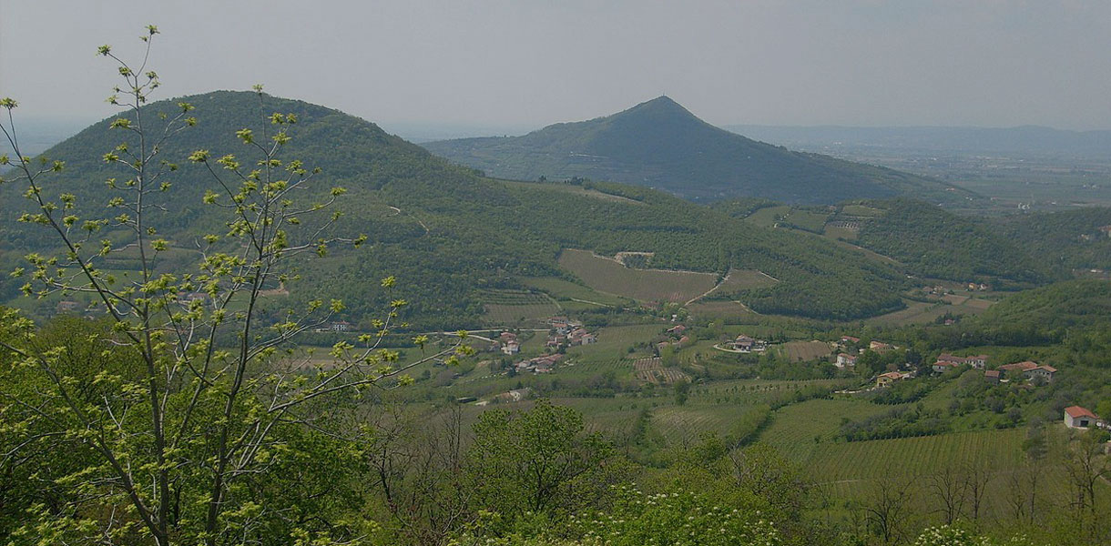 Paesaggio dei Colli Euganei tra colline e vegetazione